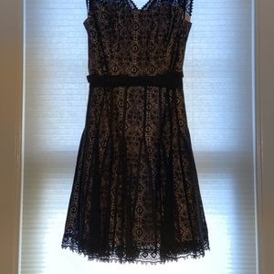 Mauve brand, black lace dress. Size 12 Petite.